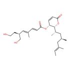Immunoprecipitation(IP)