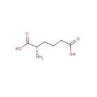 Amino Acids