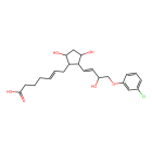 Prostaglandin Receptor