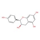 CGRP Receptor