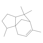 BMX Kinase