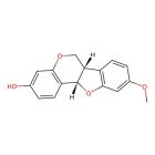 Fatty Acid Synthase (FASN)