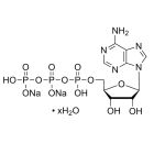 Nucleosides & Nucleotides