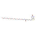Serotonin Transporter