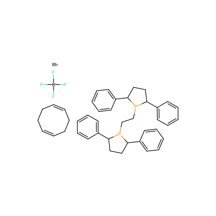 RXFP Receptor