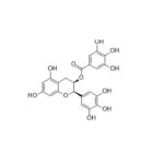 Microsomal Triglyceride Transfer Protein (MTP)