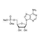 Nucleosides & Nucleotides