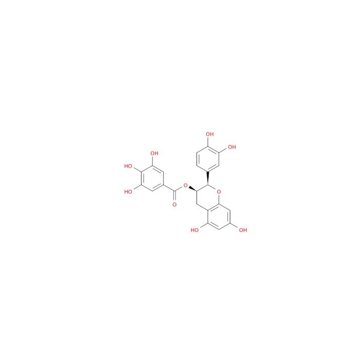 Constitutive Androstane Receptor