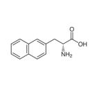 Amino Acids