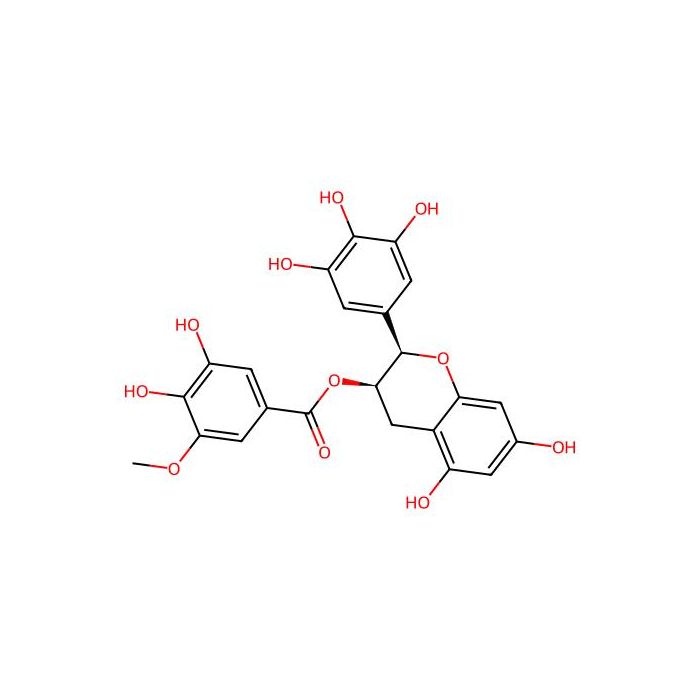 Fibroblast growth factor (FGF)
